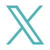 Twitter Icon